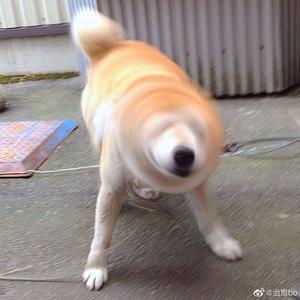 云缨张开双腿被强❌小说
