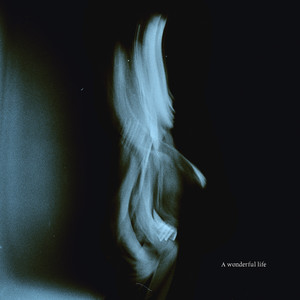 云缨张开双腿被强❌小说
